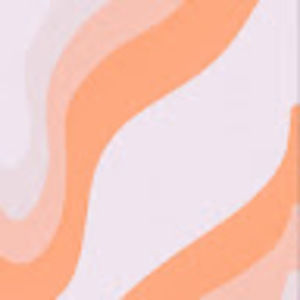 Meet your Posher, Virginia